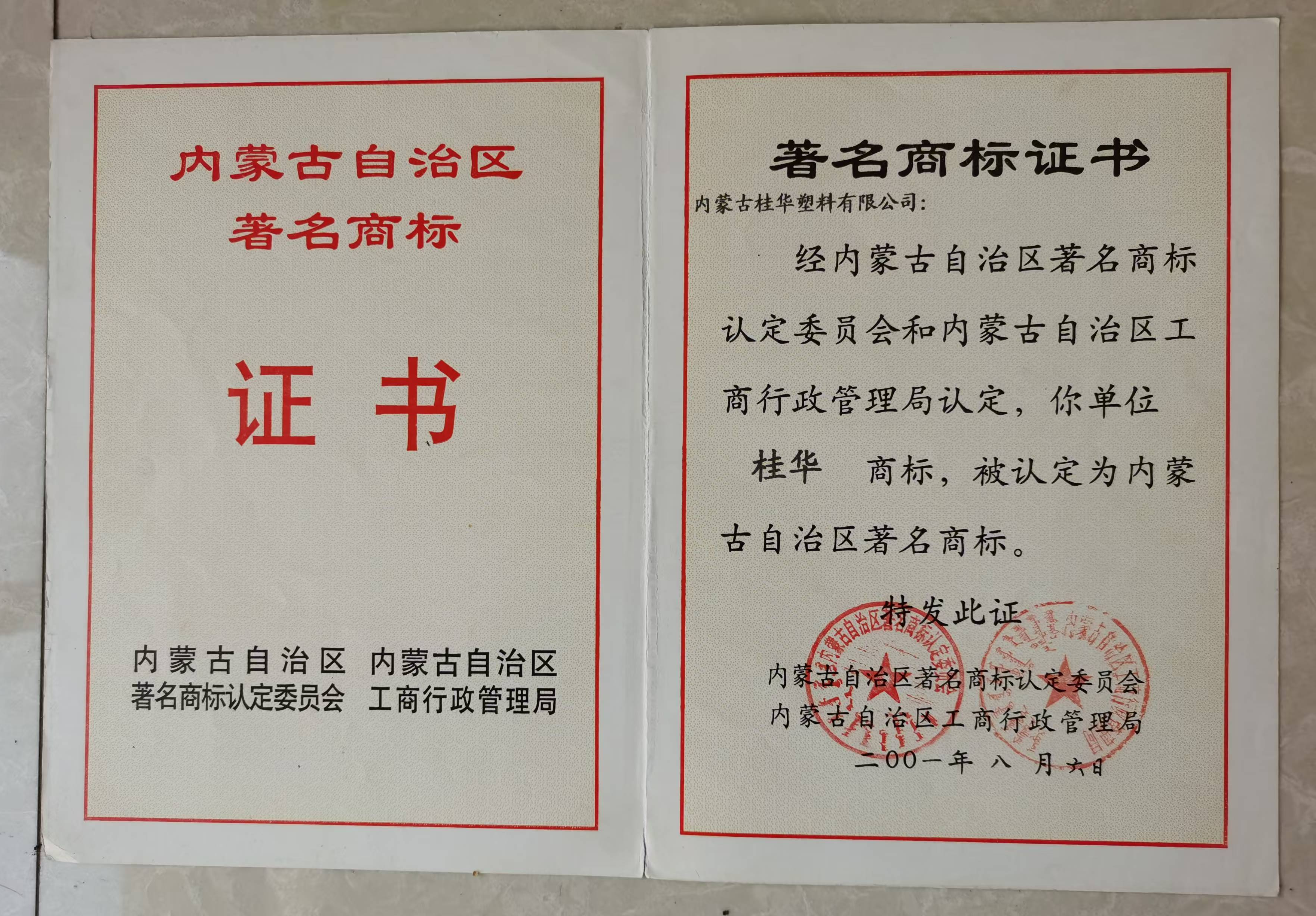 个体私营经济十佳带头人